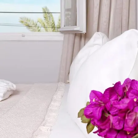 Ξενοδοχείο Pitahaya Mutfak